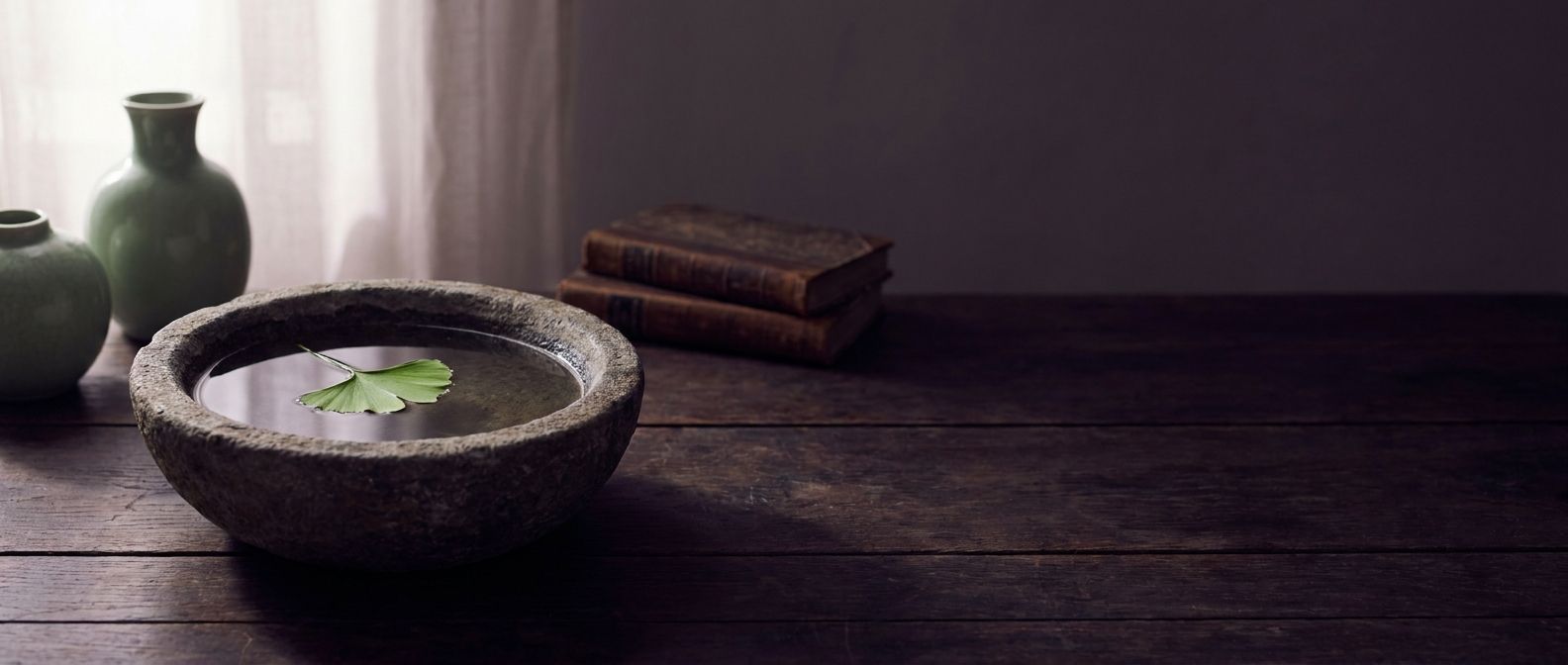 A stone bowl of still water with a single floating leaf in soft dawn light